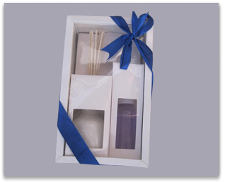 100 ml Lavendar Reed Diffuser oil Gift Set